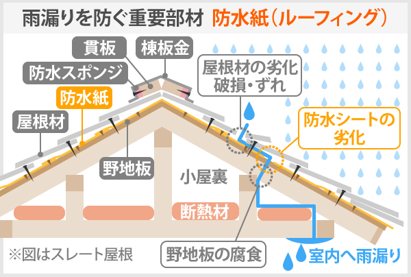 雨漏りを防ぐ重要部材 防水紙（ルーフィング）と周辺の屋根材のイラスト図解