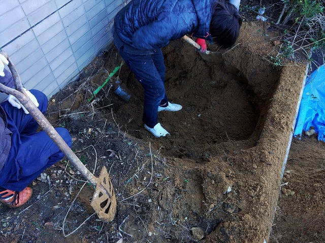 植込みの土を掘りすすめているところ