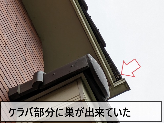 富岡町にて屋根部分に雀の巣を作られてしまったお家の調査・雨樋の掃除依頼
