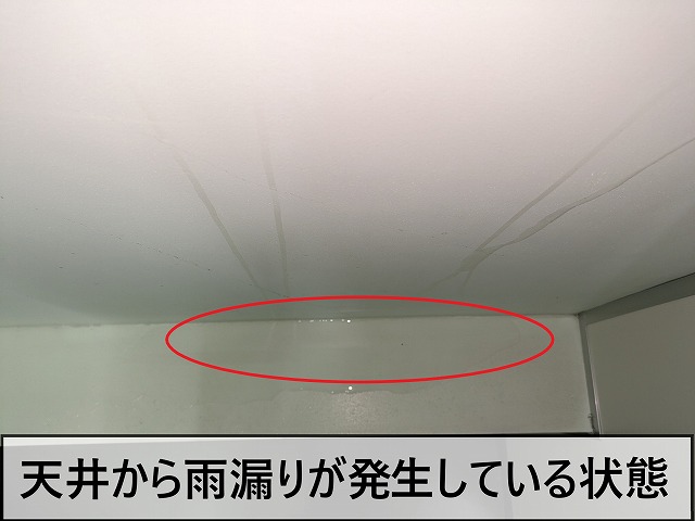 トイレの天井から雨漏りしている