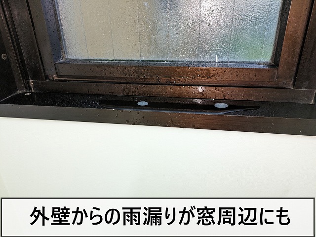 窓周辺にも雨漏りしたものが溜まっている