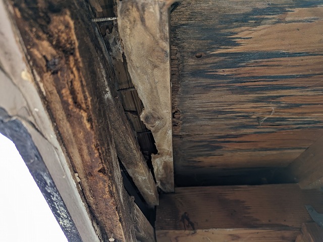 軒天裏にコウモリが住み着き建材が腐食した状態