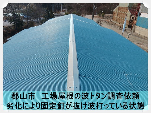 郡山市にて工場の事務所屋根の調査。トタン屋根は固定釘が抜け波打っている状態