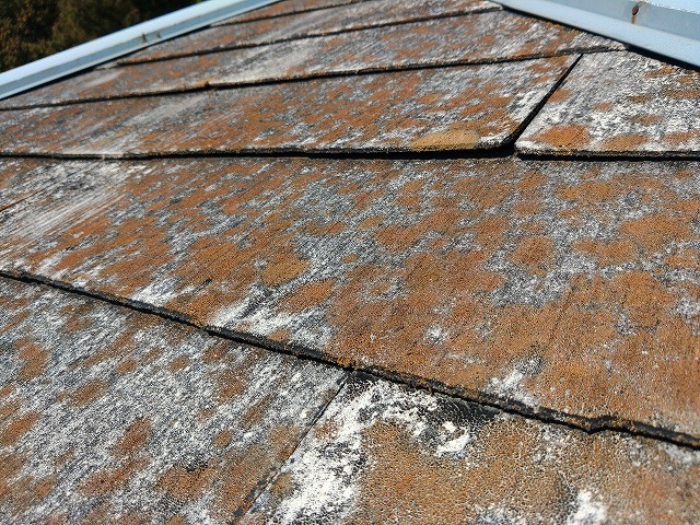 広野町にて屋根が色あせて苔が発生し棟板金の釘は浮いていた。最善の工事をご提案