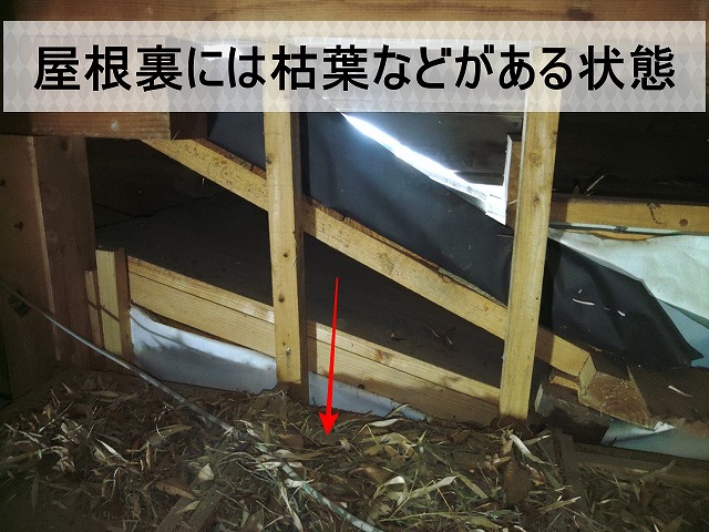 屋根裏には枯葉が溜まっている状態