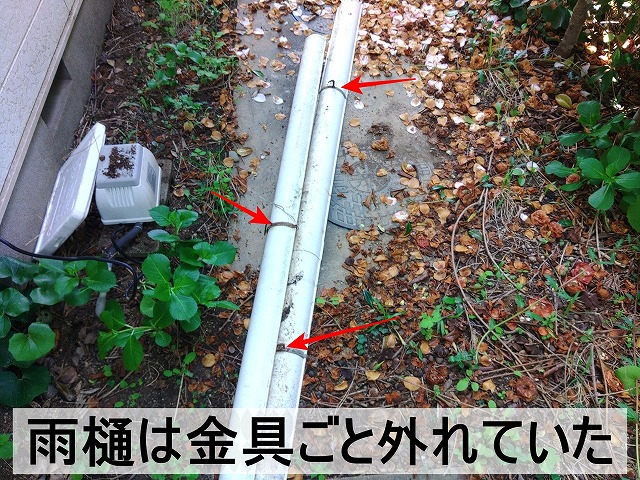 雨樋を固定し支えている金具ごと外れている状態