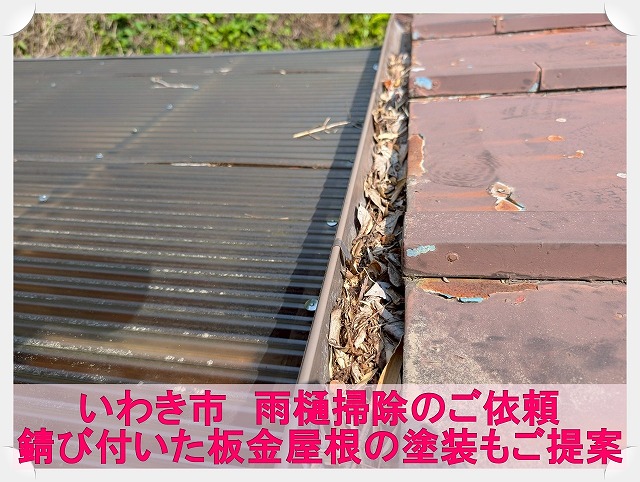 いわき市にて雨樋掃除と板金屋根の塗装をご提案。定期的なメンテナンスが重要です