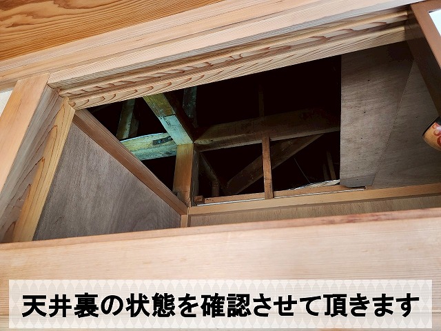 天井裏の雨漏りの状態を確認