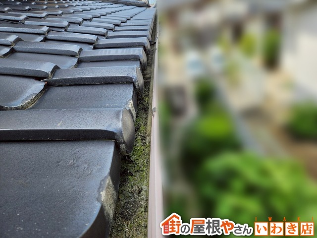 福島県いわき市　雨樋に土などが溜まり排水を妨げている状態