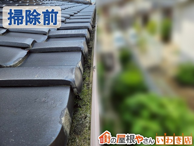 福島県いわき市　雨樋内部に土や砂が溜まり雨水の流れを妨げている状態