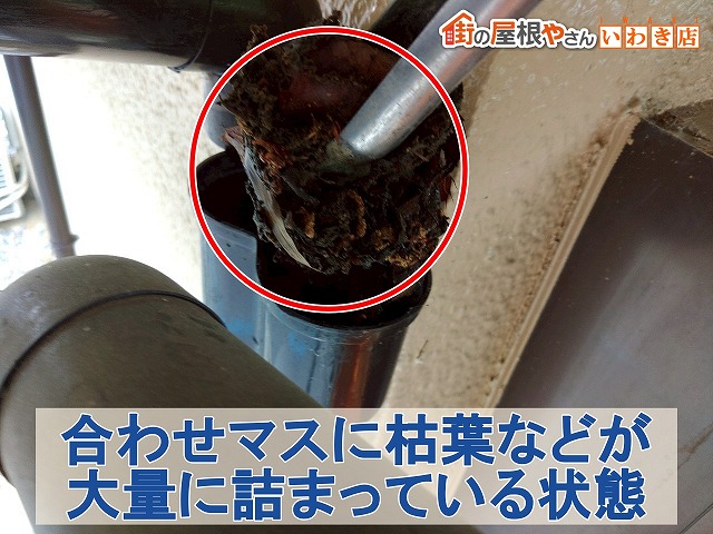 福島県いわき市 合わせマスに大量の枯葉などが詰まっている状態