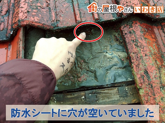 福島県いわき市 瓦屋根の下にある防水シートに穴が開いている状態