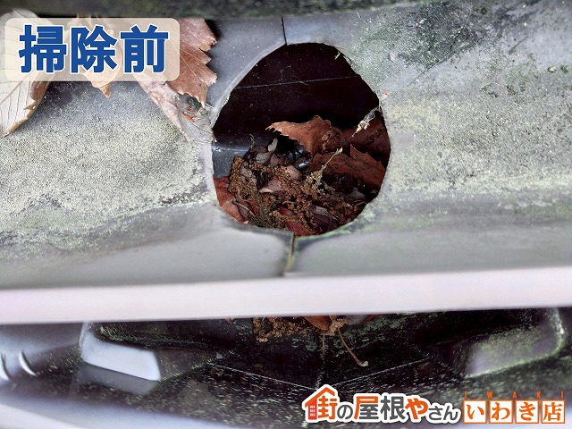 福島県いわき市　集水器に枯葉が詰まっている状態
