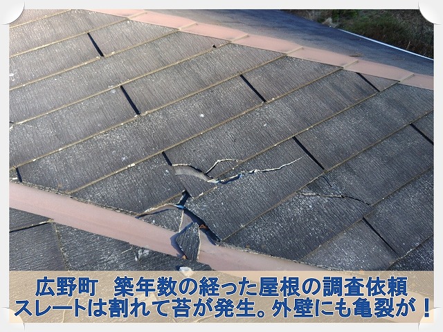 広野町にて築年数が経ち色が変わった屋根の調査。苔やひび割れ・外壁の亀裂も確認