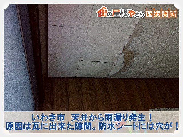 いわき市にて天井からの雨漏り。瓦の隙間から入り下地の防水シートが破けていた