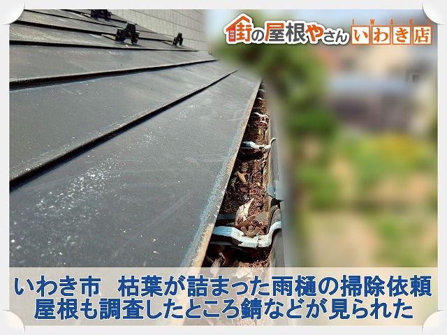 福島県いわき市　枯葉が詰まった雨樋の掃除依頼