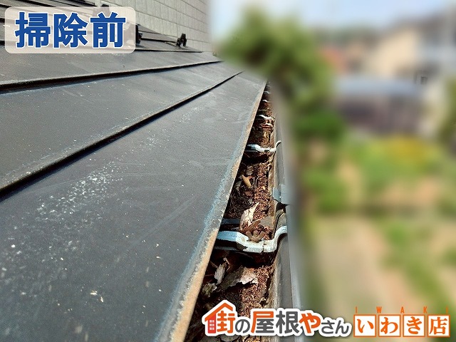 福島県いわき市　枯葉が詰まった雨樋の状態