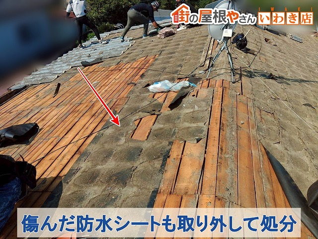 福島県古殿町　葺き替え工事　傷んでしまった既存の防水シートを取り外しているところ