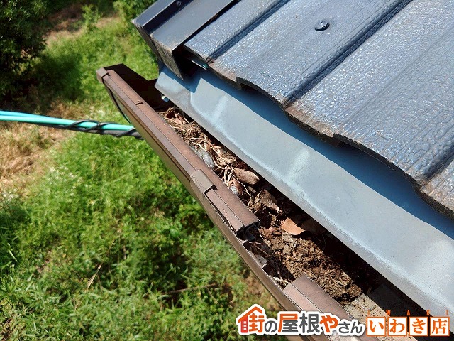 福島県いわき　雨樋には枯葉や砂などのゴミが溜まっている状態