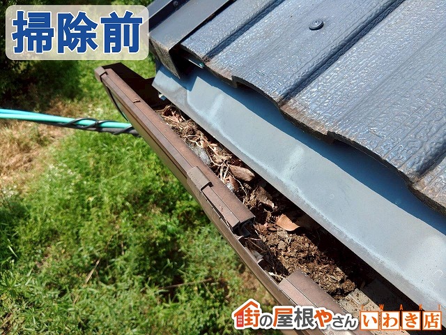 福島県いわき市　雨樋に枯葉が詰まり排水を妨げている状態