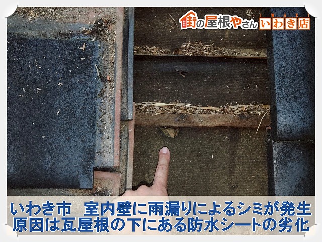 いわき市にて室内に雨漏りが発生！原因は瓦の下の防水シートに発生していた穴