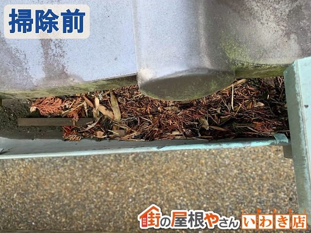 福島県楢葉町　軒樋部分に枯葉が溜まっている状態