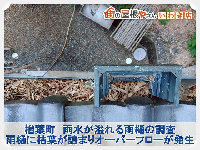 楢葉町にて雨樋掃除のご依頼。落ち葉除けネットがあっても定期的な掃除が必要です