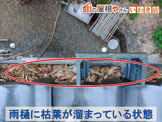 福島県楢葉町　雨樋に枯葉が溜まり雨水が排水されない状態
