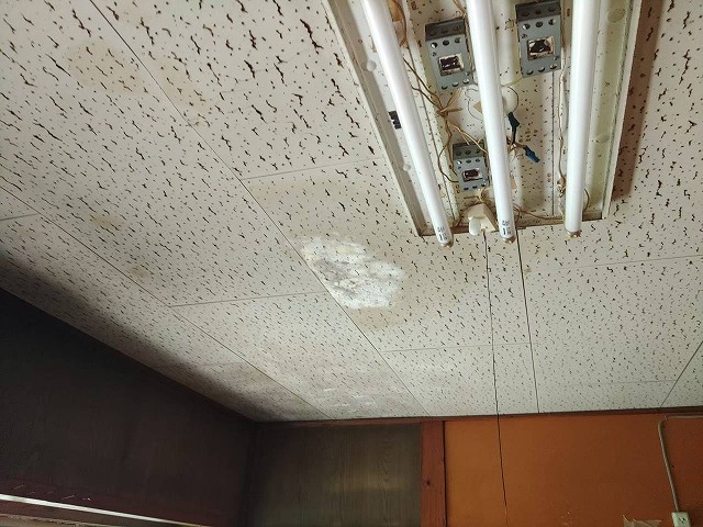 天井に変色している箇所が見られる