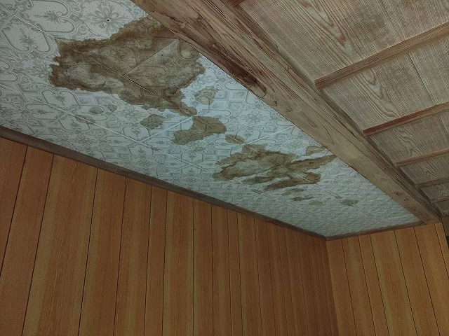 天井の広範囲に雨染みが見られる