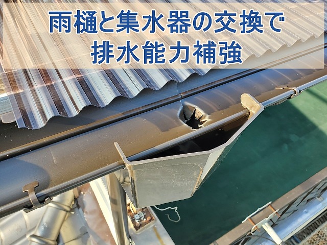 新しく交換した雨樋と集水器