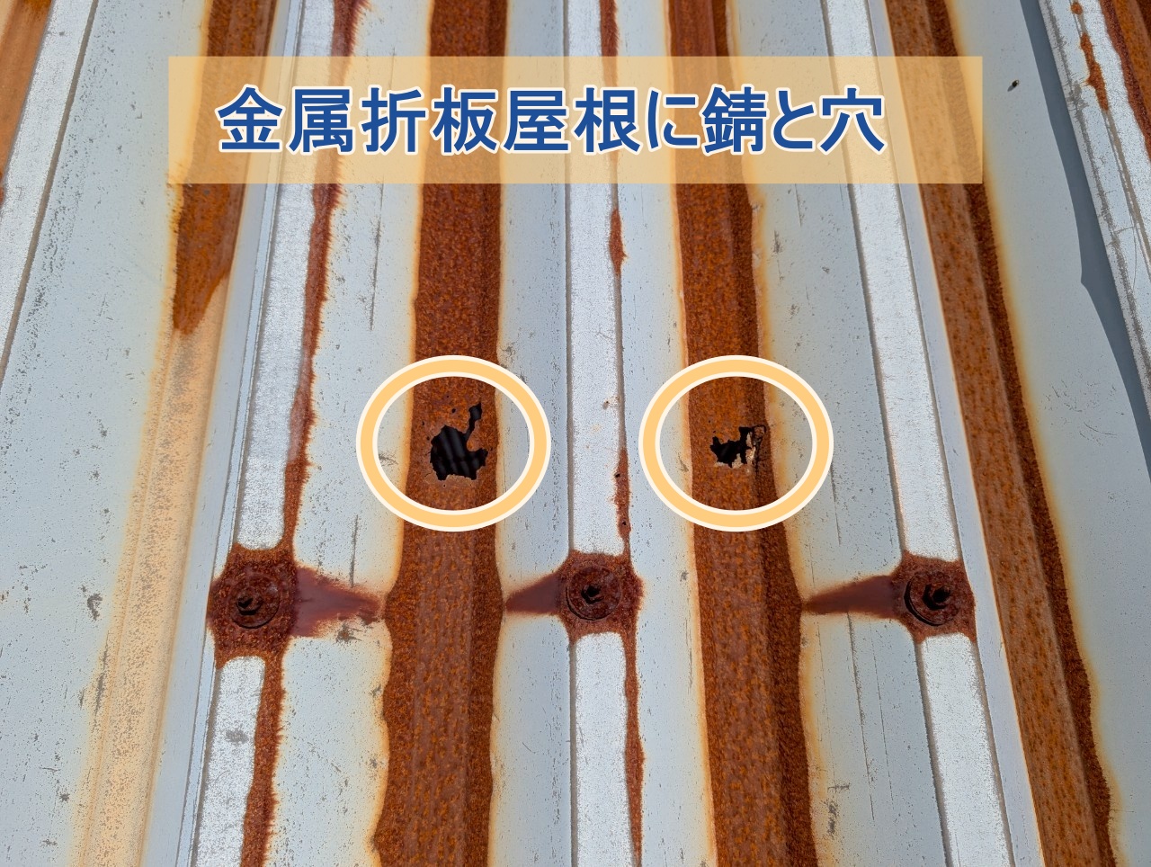 いわき市にて錆びて穴の開いた倉庫屋根重ね葺き工事の現場調査を実施
