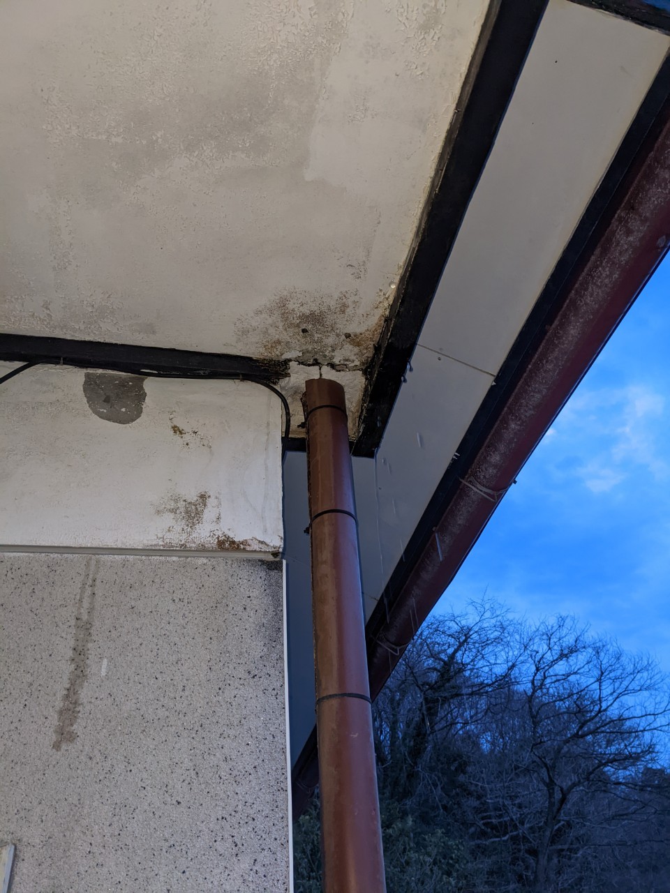 縦樋の天井に繋がる部分に腐食が見られる