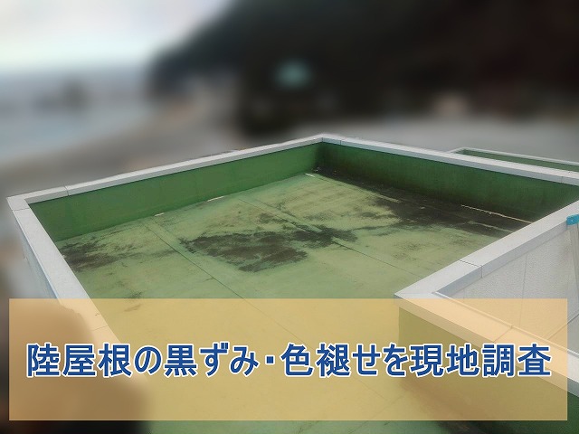 いわき市にて宿泊施設の屋上劣化を確認 防水と笠木の改善提案