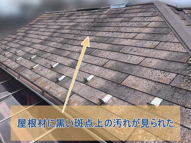 屋根材に黒い斑点上の汚れが見られた