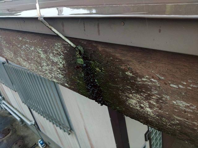 屋根の破風部分の施工前状況