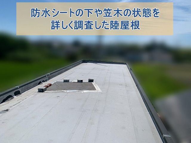 いわき市にて陸屋根を調査 防水シート下と笠木下地に劣化を確認