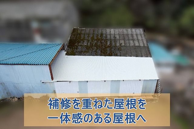 いわき市にて工場屋根の雨漏り解消 波板屋根が新しく生まれ変わりました