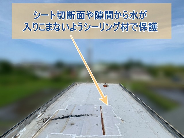 シート切断面や隙間から水が入り込まないようにシーリング材で保護