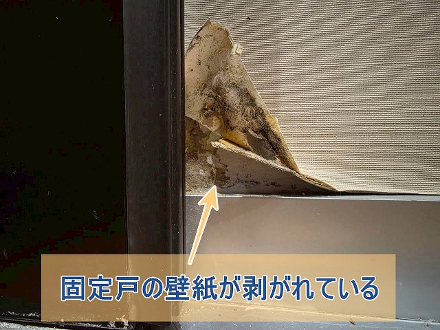 固定戸の壁紙が剥がれている