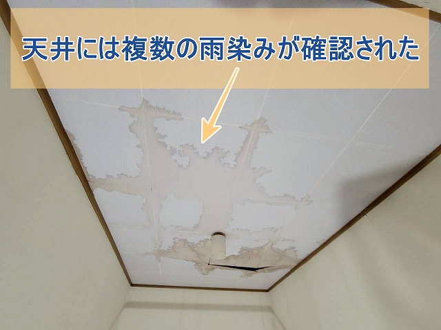 天井には複数の雨染みが確認された