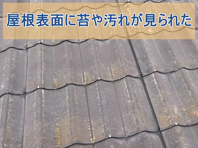 屋根材表面に苔や汚れが見られた