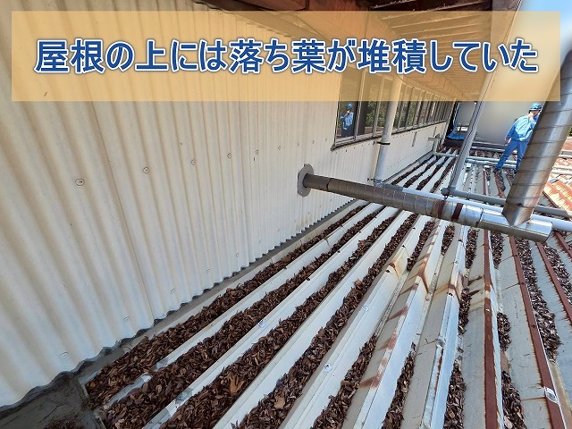 いわき市勿来 屋根の上には落葉が堆積していた