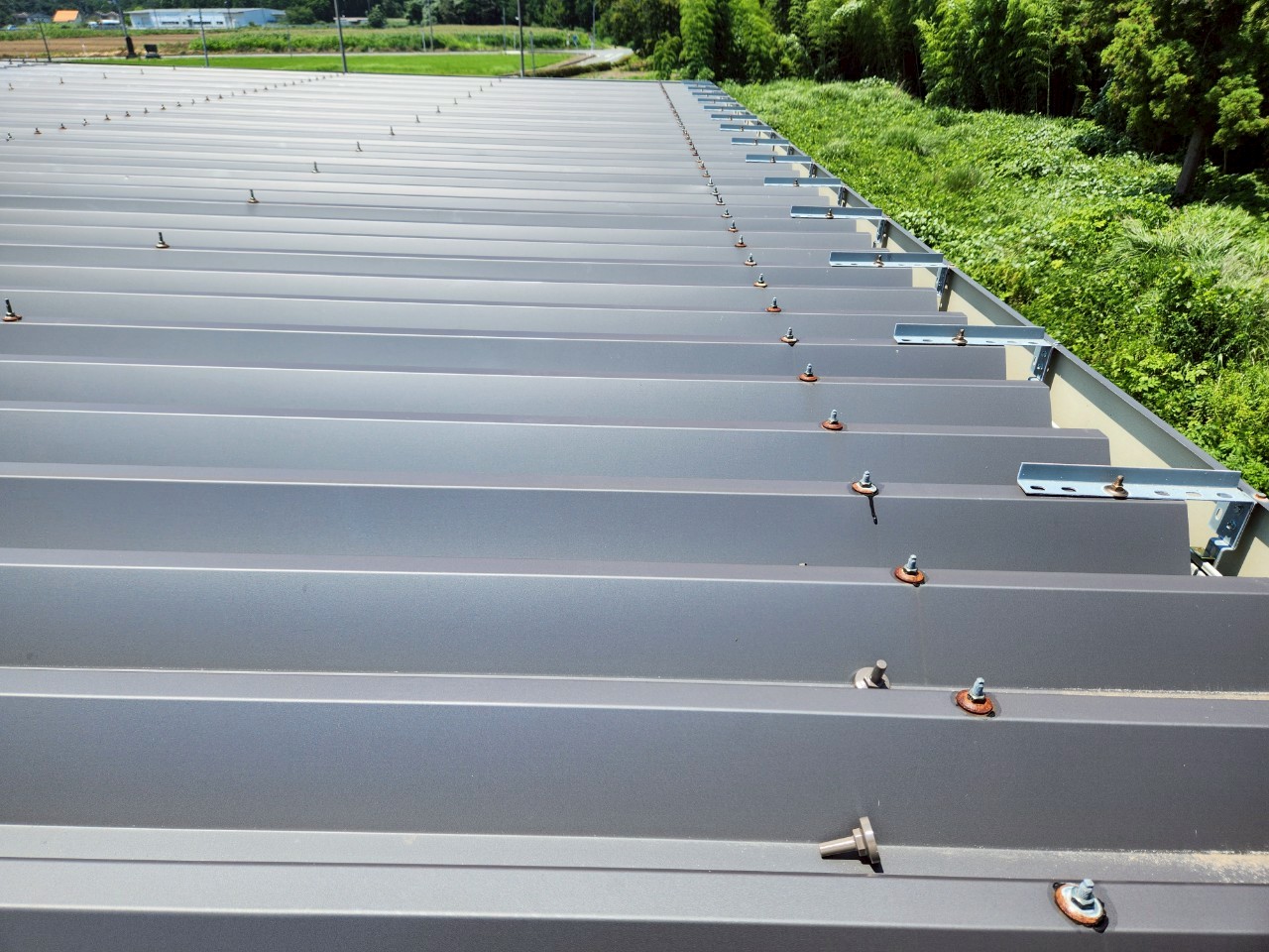 ボルトに錆が確認された金属折板屋根