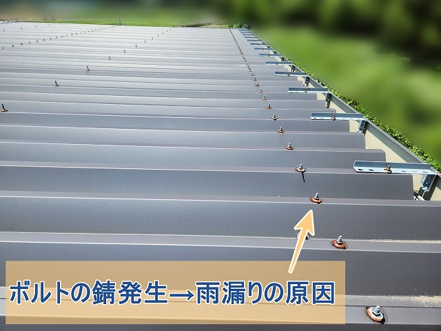 ボルトの錆が雨漏りの原因となっている様子