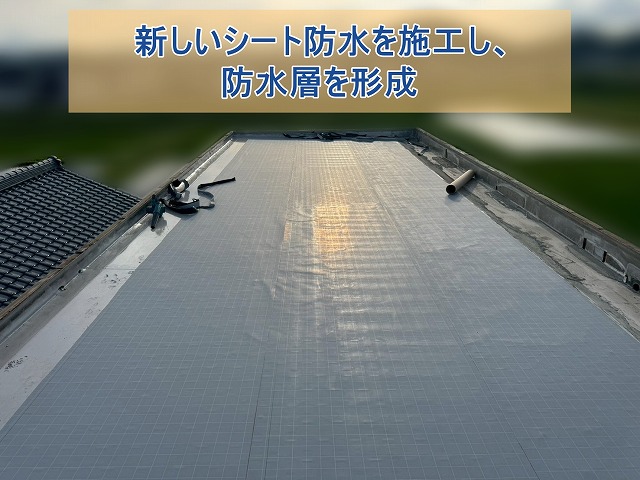 新しいシート防水を施工し、防水層を形成
