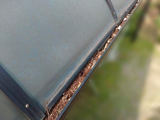 雨樋清掃前のサンルームの雨樋の様子