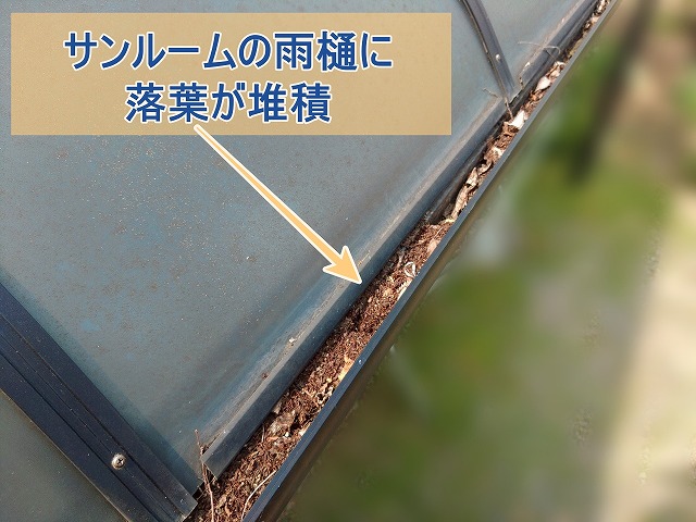 いわき市にて雨樋の詰まりを確認 サンルームと住宅の雨樋を調査しました