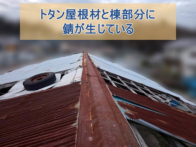 トタン屋根材と棟部分に錆が生じている