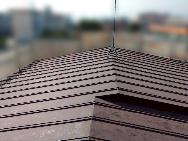 全体的に変色している立平葺き屋根